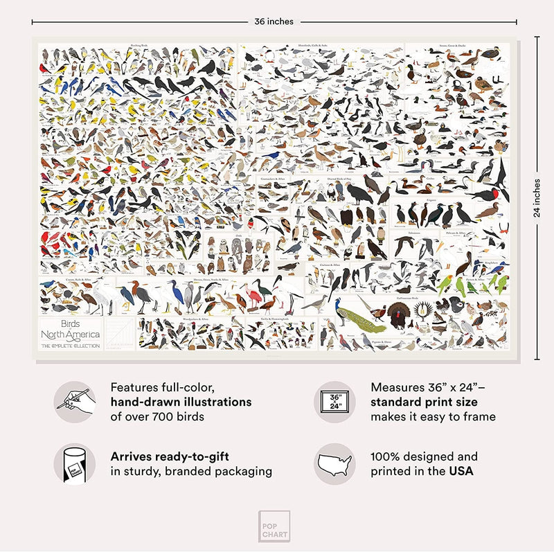 Pop Chart | Birds of North America | 36" X 24" Large-Format Poster | Every Bird Species in North America Illustrated | Perfect Wall Decor for Nature Lovers | 100% Made in the US Home & Garden > Decor > Artwork > Posters, Prints, & Visual Artwork Pop Chart Lab   