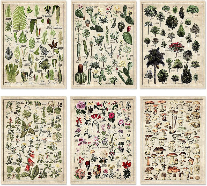 Set of 6 Plant Poster Vintage Botanical Prints 12 X 16 Inch Decorative Wrap Poster Tree Wall Art Picture Vintage Mushroom Decor Floral Nature Poster for Wall Cactus Posters Prints Home & Garden > Decor > Artwork > Posters, Prints, & Visual Artwork Fainne Linen Mushroom 