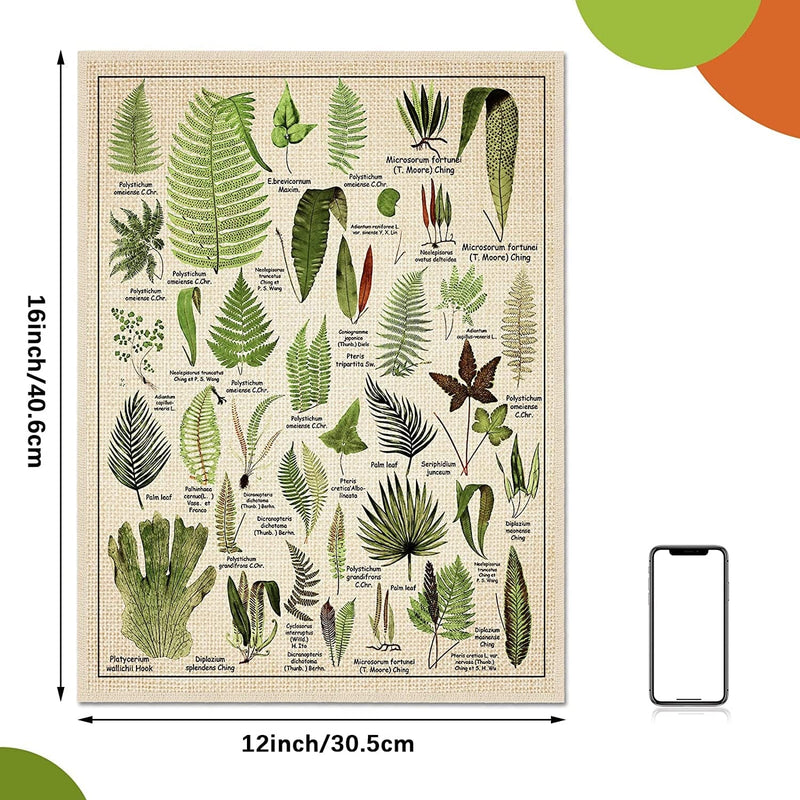 Set of 6 Plant Poster Vintage Botanical Prints 12 X 16 Inch Decorative Wrap Poster Tree Wall Art Picture Vintage Mushroom Decor Floral Nature Poster for Wall Cactus Posters Prints Home & Garden > Decor > Artwork > Posters, Prints, & Visual Artwork Fainne   