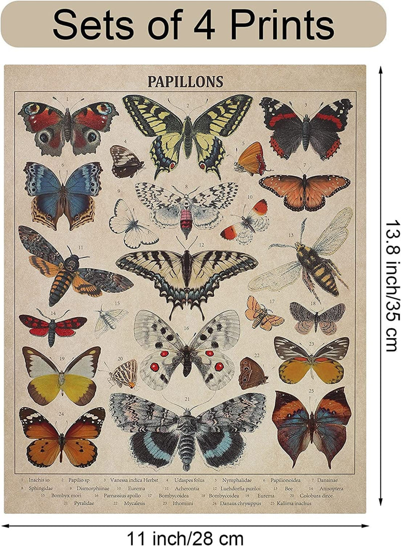Spiareal 4 Pieces Butterflies Posters Vintage Papillons Butterflies Poster Wall Art Prints Butterfly Printed Wall Art Posters Butterfly Vintage Decor Butterfly Pictures Paper for Home Bedroom Home & Garden > Decor > Artwork > Posters, Prints, & Visual Artwork Spiareal   