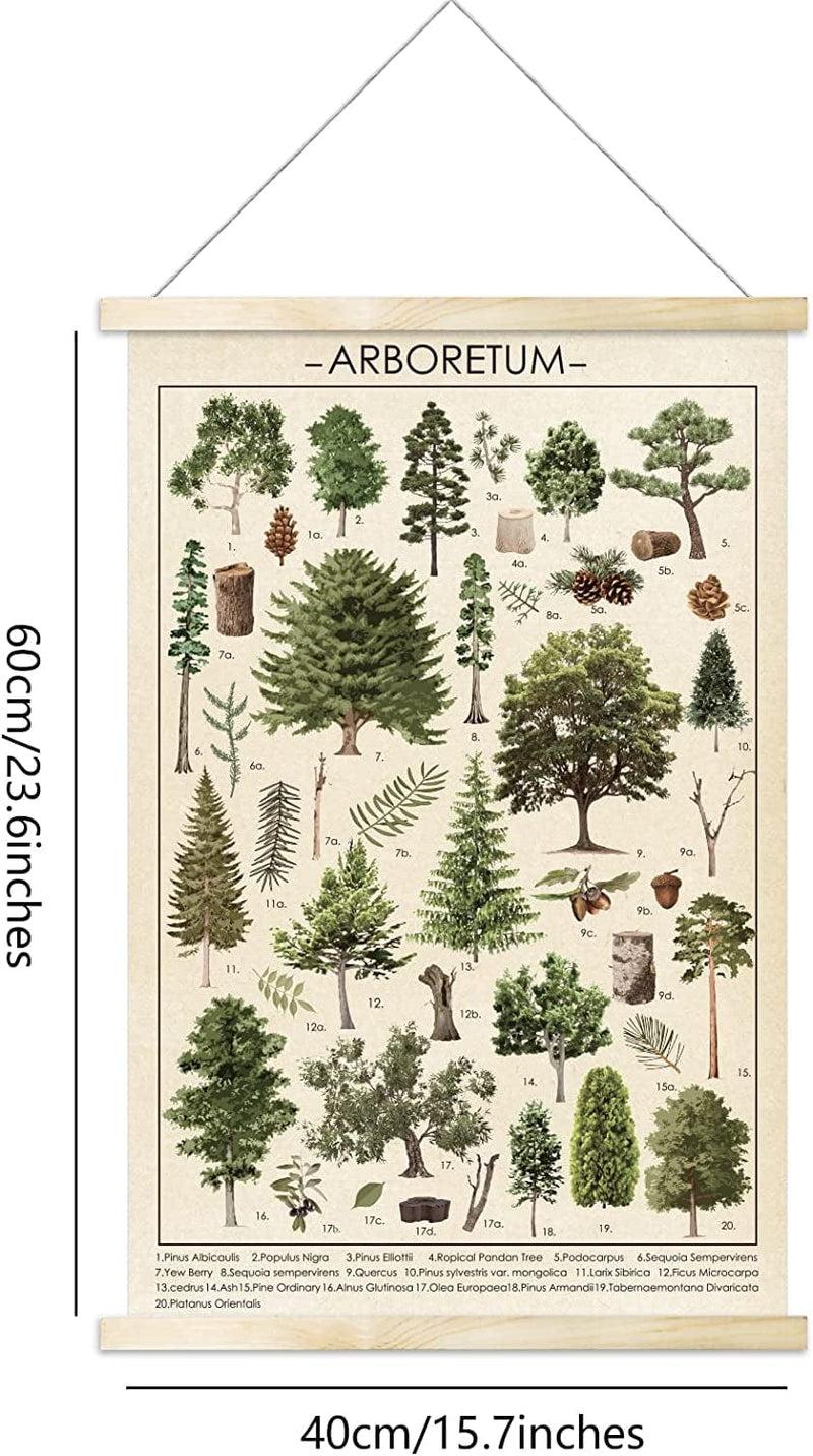 Tevxj Vintage Tree Poster Plant Wall Art Prints Rustic Style of Arboretum Wall Hanging Illustrative Reference Chart Poster for Living Room Office Classroom Bedroom Playroom Dining Room Decor Frame Home & Garden > Decor > Artwork > Posters, Prints, & Visual Artwork TE0270   
