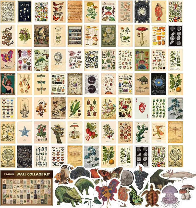 TRAMIN 100 PCS Vintage Posters for Room Aesthetic, Wall Collage Kit Aesthetic Pictures, Cottagecore Room Decor for Bedroom Aesthetic, Cute Dorm Photo Wall Decor for Teen Girls, Botanical Wall Art… Home & Garden > Decor > Artwork > Posters, Prints, & Visual Artwork TRAMIN   