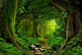 Tropical Jungle Rainforest Footpath Landscape Photo Photograph Rain Forest Stream Water Rocks Lush Foliage Tree Canopy Green Leaves Branches Moss Ferns Hiking Cool Wall Decor Art Print Poster 36X24 Home & Garden > Decor > Artwork > Posters, Prints, & Visual Artwork Poster Foundry Poster 16x24 
