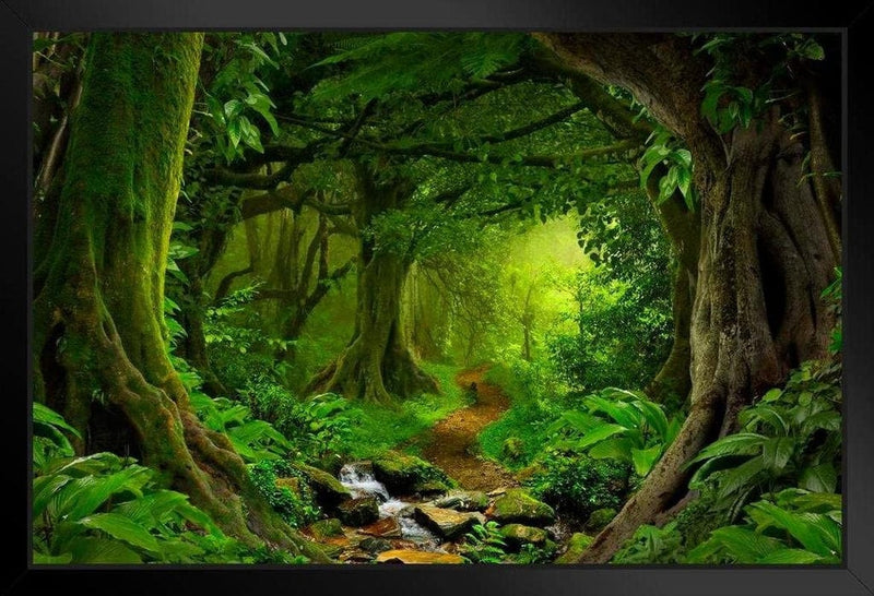 Tropical Jungle Rainforest Footpath Landscape Photo Photograph Rain Forest Stream Water Rocks Lush Foliage Tree Canopy Green Leaves Branches Moss Ferns Hiking Cool Wall Decor Art Print Poster 36X24 Home & Garden > Decor > Artwork > Posters, Prints, & Visual Artwork Poster Foundry Framed Art 8x12 