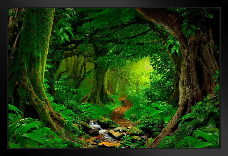 Tropical Jungle Rainforest Footpath Landscape Photo Photograph Rain Forest Stream Water Rocks Lush Foliage Tree Canopy Green Leaves Branches Moss Ferns Hiking Cool Wall Decor Art Print Poster 36X24 Home & Garden > Decor > Artwork > Posters, Prints, & Visual Artwork Poster Foundry Framed Art 20x26 