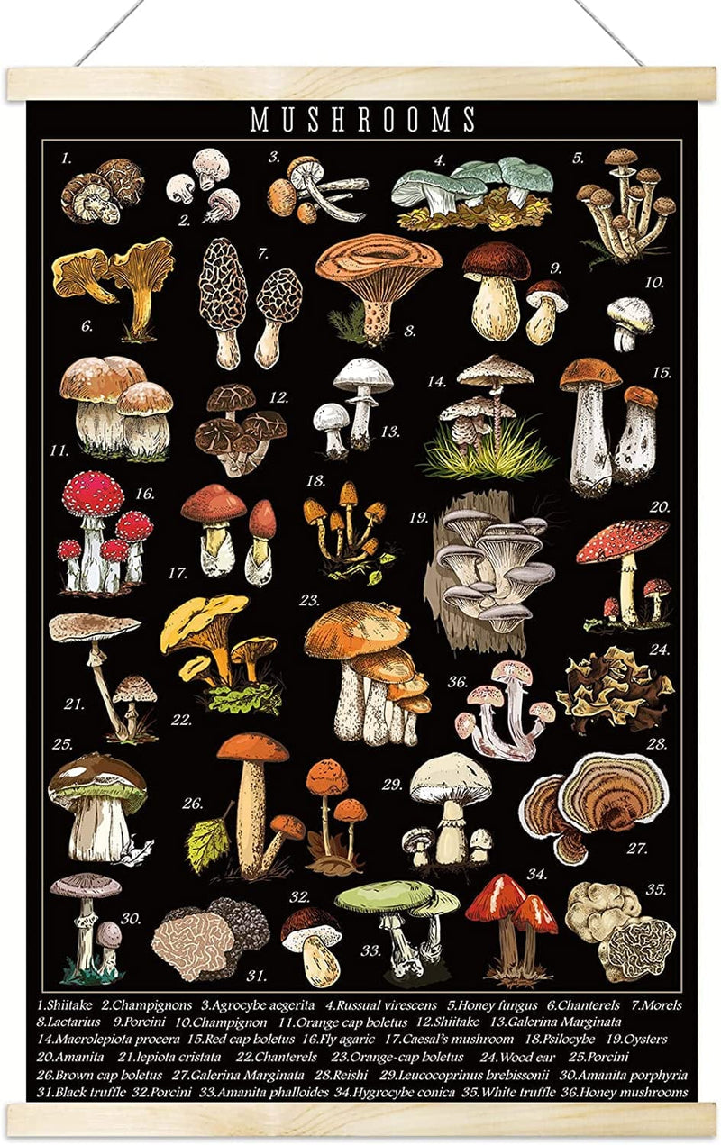 Vintage Black Mushroom Poster Fungus Wall Art Prints Colorful Rustic Style of Mushroom Wall Hanging Illustrative Reference Chart Poster for Living Room Office Classroom Bedroom Playroom Dining Room Home & Garden > Decor > Artwork > Posters, Prints, & Visual Artwork TE0319   