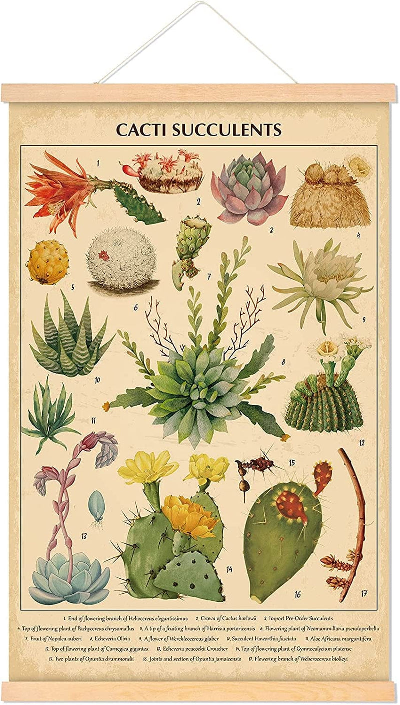 Vintage Cacti Succulents Poster Cactus Wall Art Prints Rustic Cactus Hanging Wall Decor Hanging Canvas Frame Wall Poster for Living Room Office Classroom Bedroom Dining Room Decor, 15.7 X 23.6 Inch Home & Garden > Decor > Artwork > Posters, Prints, & Visual Artwork Tatuo   