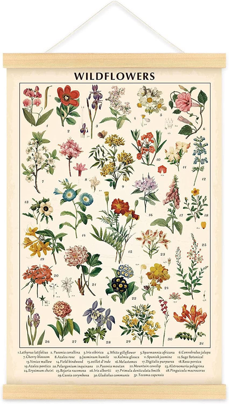 Vintage Wildflowers Poster Botanical Wall Art Prints Colorful Rustic Style of Floral Wall Hanging Illustrative Reference Flower Chart Poster for Living Room Office Bedroom Decor Frame 15.7 X 23.6 Inch