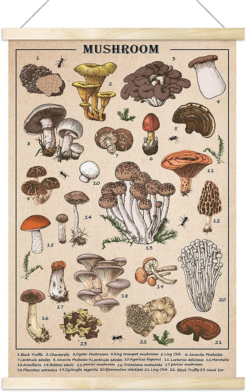 Vintage Wildflowers Poster Botanical Wall Art Prints Colorful Rustic Style of Floral Wall Hanging Illustrative Reference Flower Chart Poster for Living Room Office Classroom Bedroom Dining Room Decor Home & Garden > Decor > Artwork > Posters, Prints, & Visual Artwork Tevxj Rustic Mushroom  
