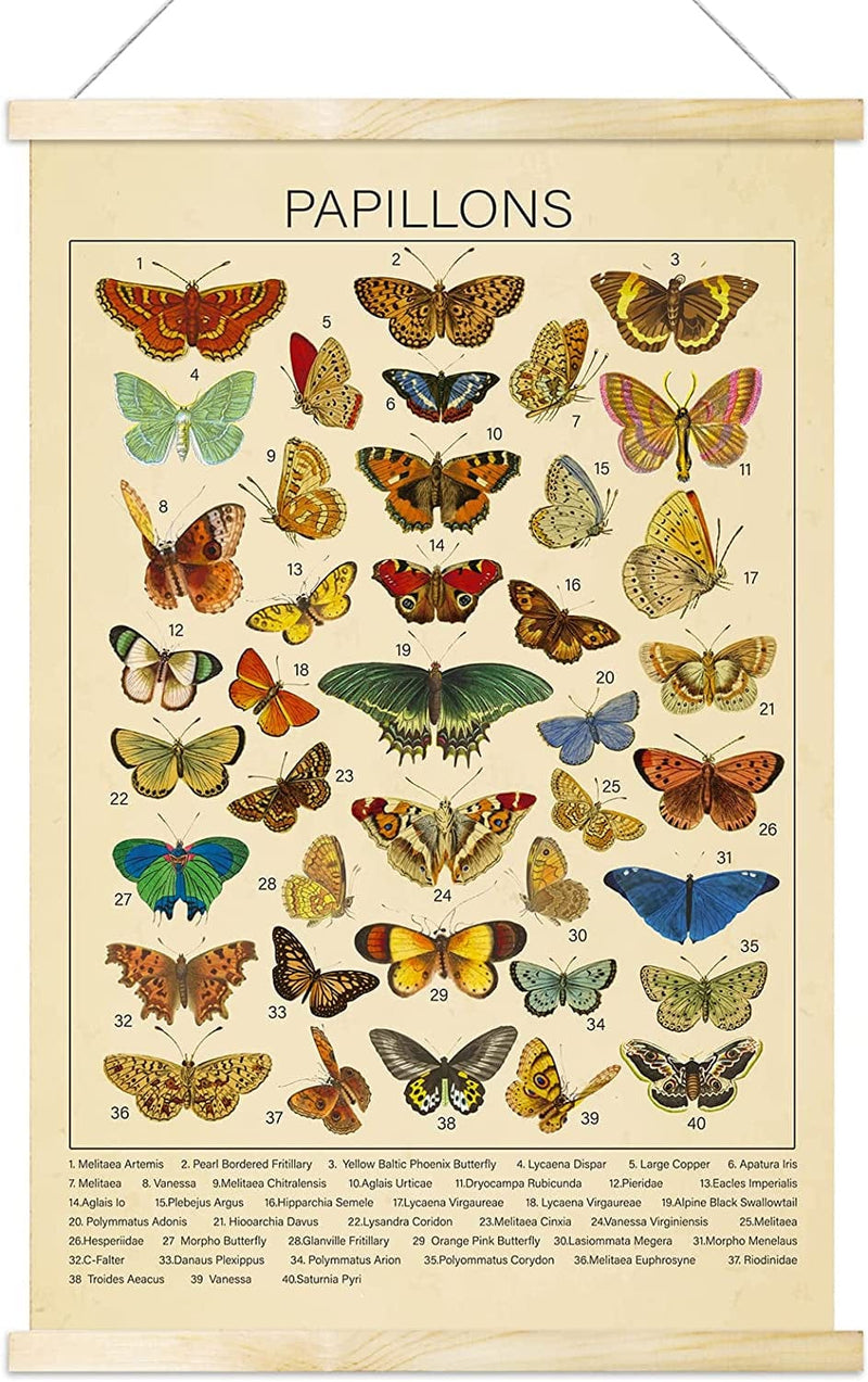 Vintage Wildflowers Poster Botanical Wall Art Prints Colorful Rustic Style of Floral Wall Hanging Illustrative Reference Flower Chart Poster for Living Room Office Classroom Bedroom Dining Room Decor Home & Garden > Decor > Artwork > Posters, Prints, & Visual Artwork Tevxj Butterflies  