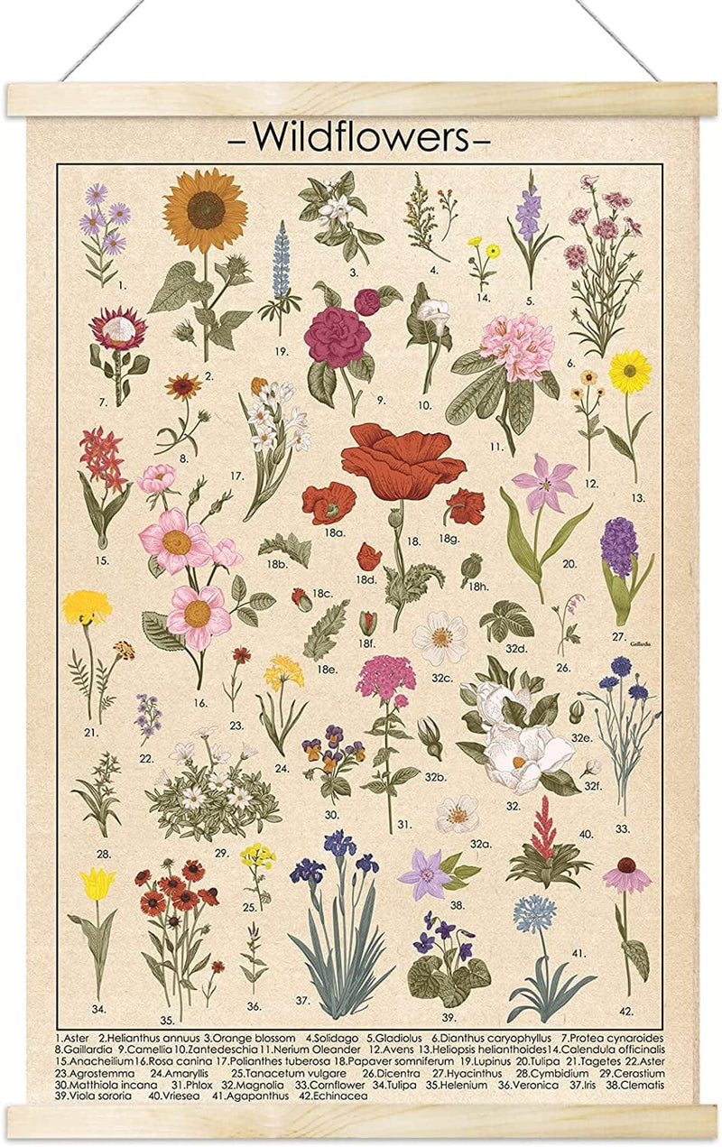 Vintage Wildflowers Poster Botanical Wall Art Prints Colorful Rustic Style of Floral Wall Hanging Illustrative Reference Flower Chart Poster for Living Room Office Classroom Bedroom Dining Room Decor Home & Garden > Decor > Artwork > Posters, Prints, & Visual Artwork Tevxj Wildflowers  