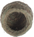 XXSLY Creative Birdcage Bird Nest Birdhouse Grass Handwoven Bird Nest Coconut Shell House Resting Breeding Place for Parrots Natural Bird Cage Bird Cage Accessories (Color : White,Transparent,Brown) Animals & Pet Supplies > Pet Supplies > Bird Supplies > Bird Cages & Stands XXSLY CH  