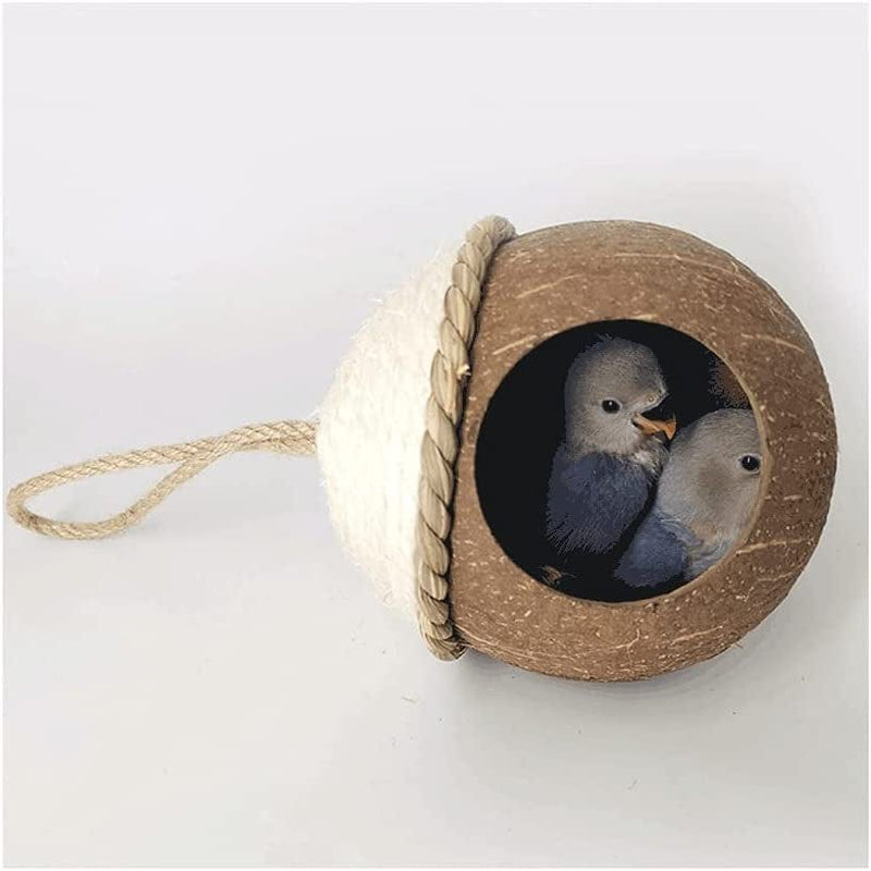 XXSLY Creative Birdcage Natural Coconut Bird Nest,Bird Nest House Hut Cage,Hanging Birdhouse Cage for Pet Parrot Budgies Parakeet Coconut Hide-Brown Bird Cage Accessories (Size : CH) Animals & Pet Supplies > Pet Supplies > Bird Supplies > Bird Cages & Stands XXSLY   