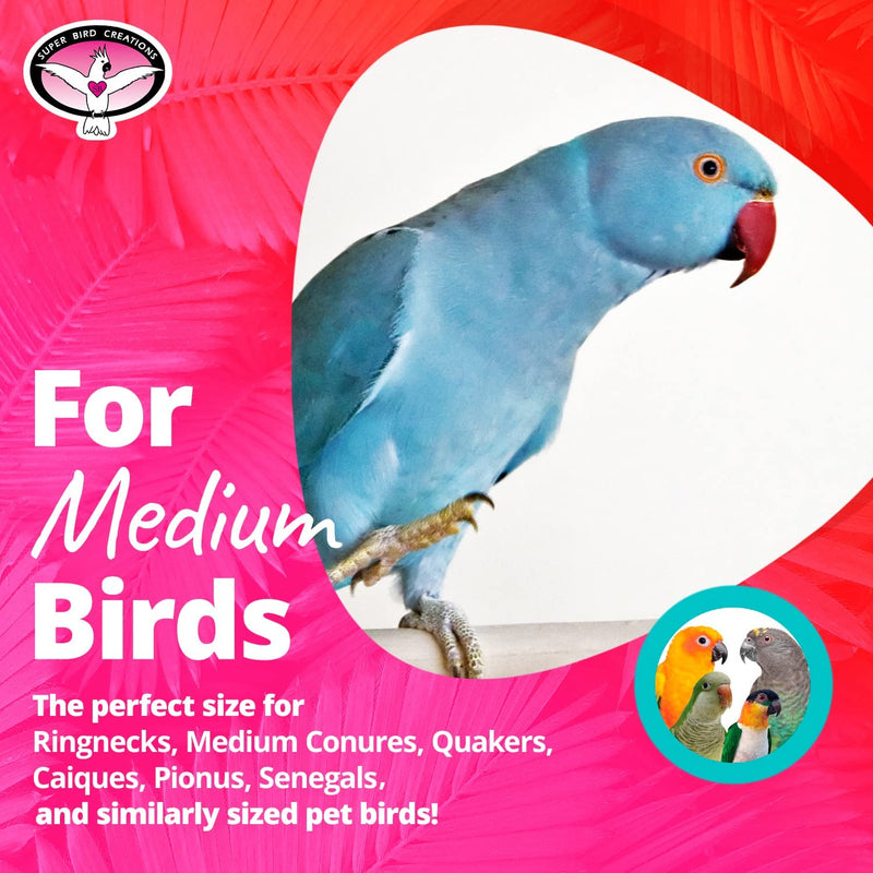 Super Bird Creations SB573 Basket Case Bird Toy, Medium Bird Size, 10" X 4"