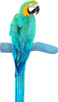Sweet Feet and Beak Safety Pumice Perch Bird Toy - Trims Nails and Beak - Promotes Healthy Feet - Safe Non-Toxic Bird Supplies for Bird Cages - Medium 10" Animals & Pet Supplies > Pet Supplies > Bird Supplies > Bird Toys Sweet Feet and Beak Blue X-Large 14" 