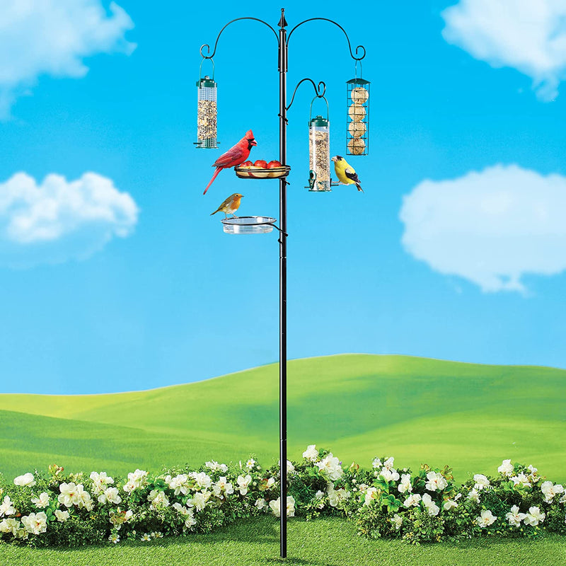 Collections Etc Deluxe Multi Bird Versatile Feeding Station - Includes Seed Tube Feeders, Fruit/Nuts Tray, Water Dish/Birdbath - Bath and Trays 7" Dia Animals & Pet Supplies > Pet Supplies > Bird Supplies > Bird Cage Accessories > Bird Cage Food & Water Dishes Winston Brands   
