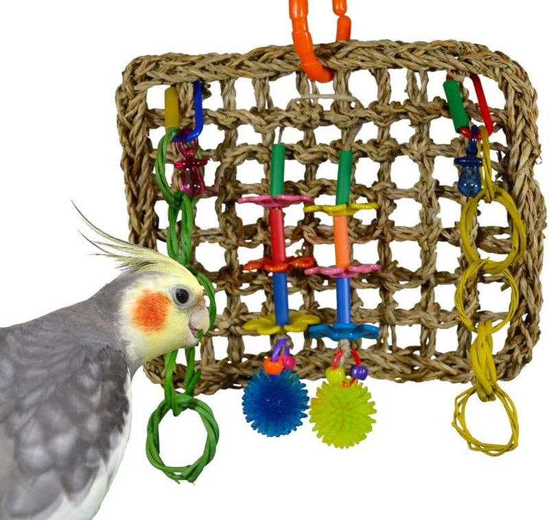Super Bird Creations SB741 Seagrass Mini Activity Wall Bird Toy, Medium Bird Size, 9” X 7” X 2” Animals & Pet Supplies > Pet Supplies > Bird Supplies > Bird Toys Super Bird Creations   