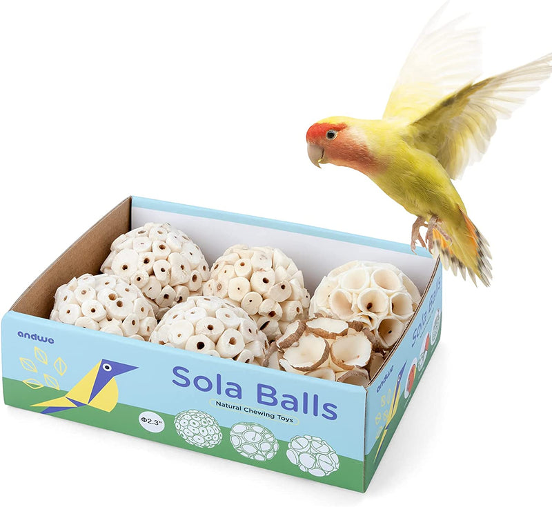 Andwe Bird Toy Sola Ball - Natural Soft Chew Shredding & Foraging Toy for Cockatiel Conure Quaker Parrot Budgie Parakeet Rabbit Bunny Guinea Pig Chinchilla (Style 1 (Pack of 6)) Animals & Pet Supplies > Pet Supplies > Bird Supplies > Bird Toys andwe Style 2 (Pack of 6)  