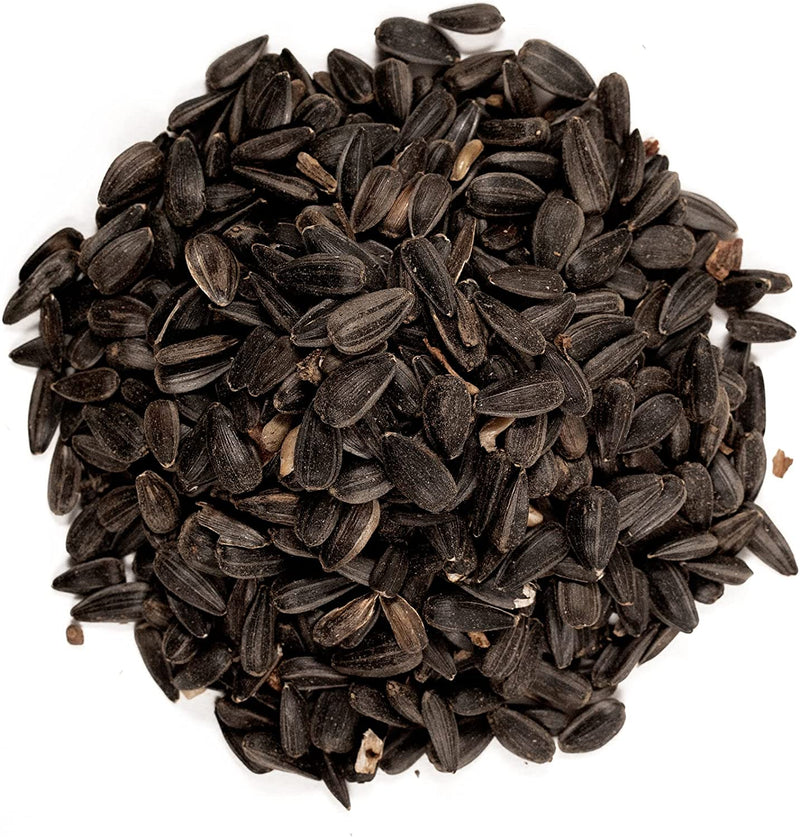 Shafer Seed 51041 40-Pound Bag, Black Oil Sunflower Wild Bird Food Animals & Pet Supplies > Pet Supplies > Bird Supplies > Bird Food Shafer Seed   