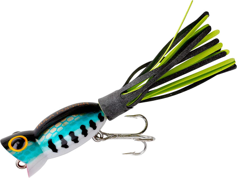 Arbogast Hula Popper Topwater Bass Fishing Lure Sporting Goods > Outdoor Recreation > Fishing > Fishing Tackle > Fishing Baits & Lures Pradco Outdoor Brands Bass 1 3/4", 1/4 oz 