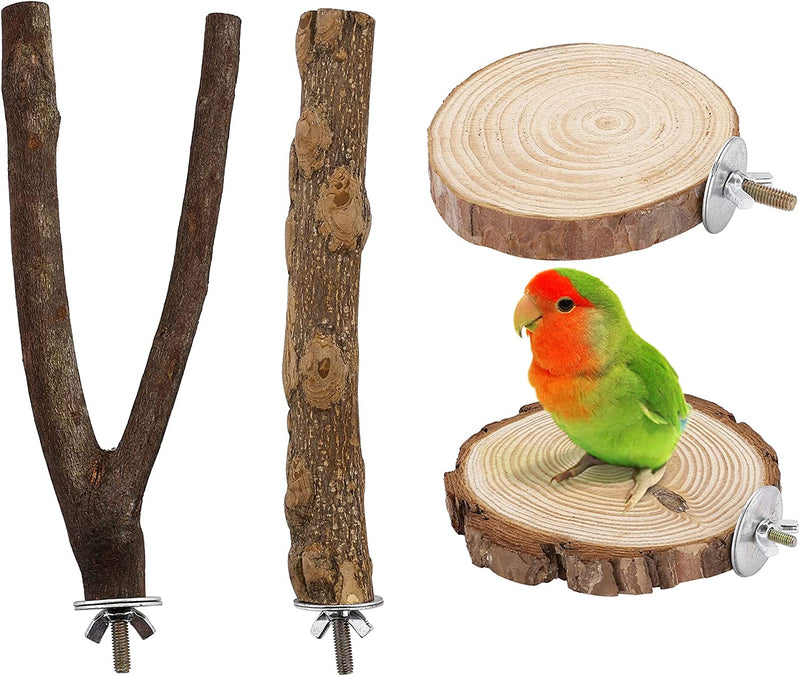 Filhome Bird Perch Stand Toy, Natural Wood Parrot Parakeet Branch Perch Bird Cage Platform Accessories for Cockatiels Conures Macaws Finches Love Birds(15Cm YYII) Animals & Pet Supplies > Pet Supplies > Bird Supplies Timwaygo 20CM YIOO  