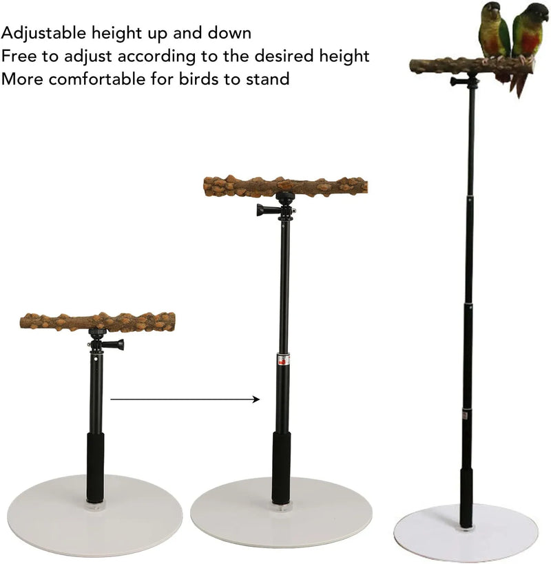 Felenny Wood Bird Perch Stand Adjustable Parrot Play Stand Branch Perch for Cage Parakeets Cockatiels Conures Macaws Love Birds Finches Animals & Pet Supplies > Pet Supplies > Bird Supplies Felenny   