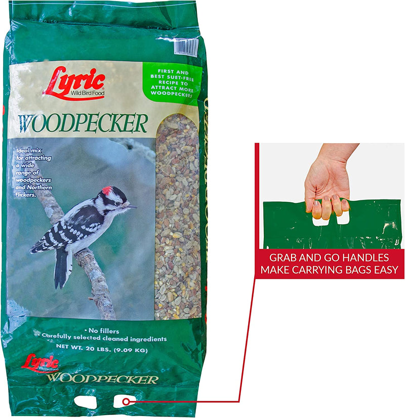 Lyric Woodpecker Wild Bird Seed - No Waste Bird Seed with Nuts, Dried Fruit & Shelled Seeds - 20 Lb Bag Animals & Pet Supplies > Pet Supplies > Bird Supplies > Bird Food Lebanon Seaboard Corporation   