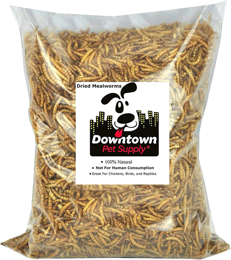 Downtown Pet Supply Dried Black Soldier Fly Larvae - Rich in Vitamin B12, B5, Protein, Fiber and Omega 3 Fatty Acids - Chicken, Duck and Bird Food - Reptile and Turtle Food - 0.5 Lbs Animals & Pet Supplies > Pet Supplies > Bird Supplies > Bird Food Downtown Pet Supply Dried Mealworms 1/2 LB 