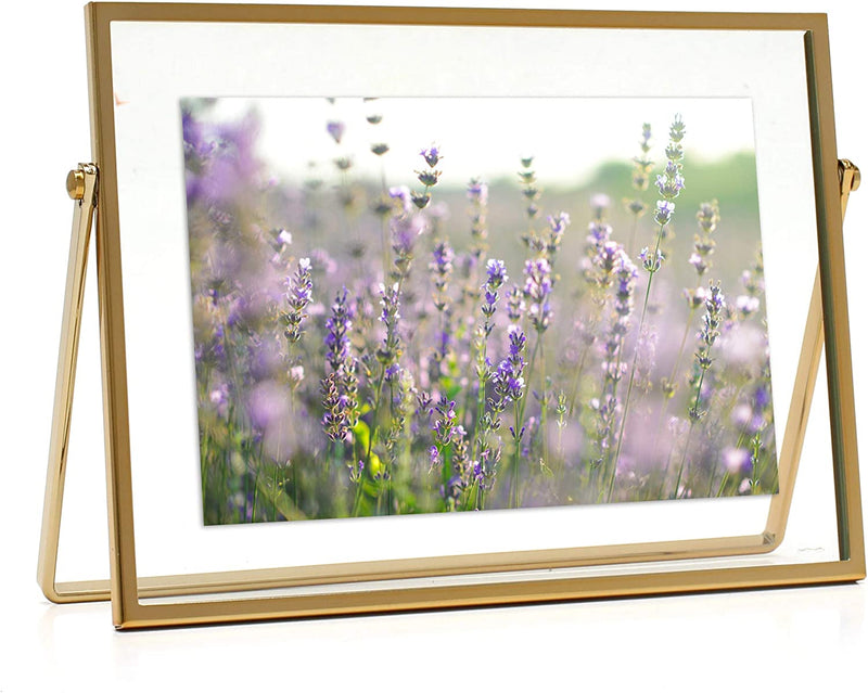MIMOSA MOMENTS Gold Metal Floating Picture Frame (Gold, 8X10) Home & Garden > Decor > Picture Frames MIMOSA MOMENTS Gold 4x6" horizontal 