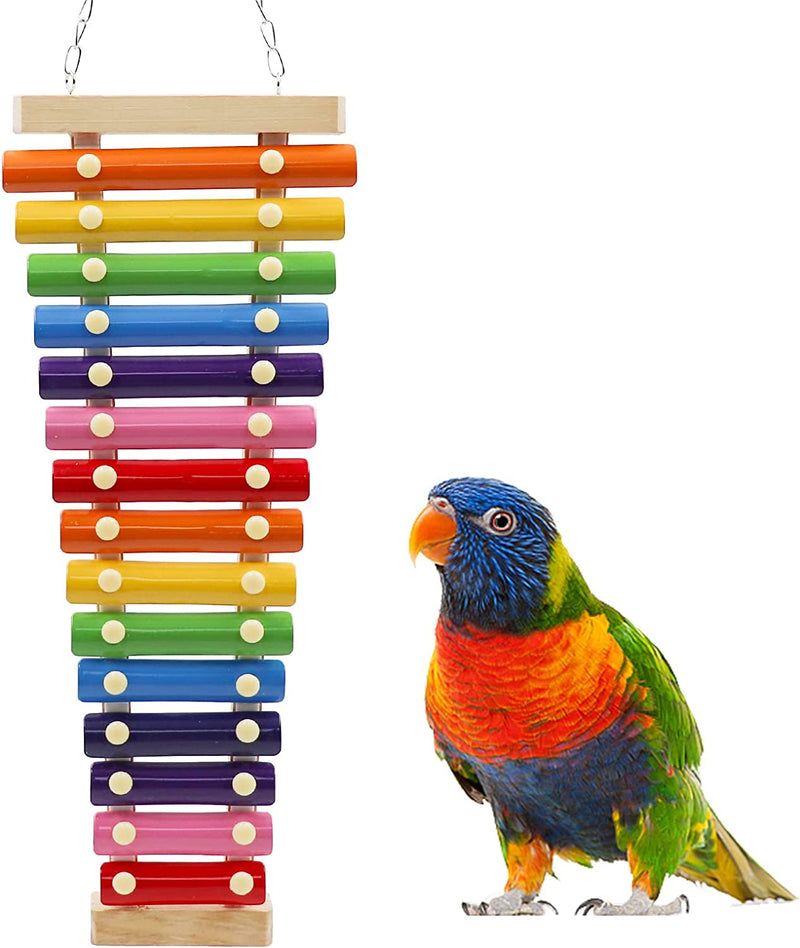 Colorful Bird Xylophone Toy, Suspensible Funny Xylophone Toy with 8 Metal Keys, Bird Cage Toy Accessories for Chicken Bird Parrot Parrot Parakeet Budgies Love Birds Animals & Pet Supplies > Pet Supplies > Bird Supplies > Bird Toys Dnoifne Size C  