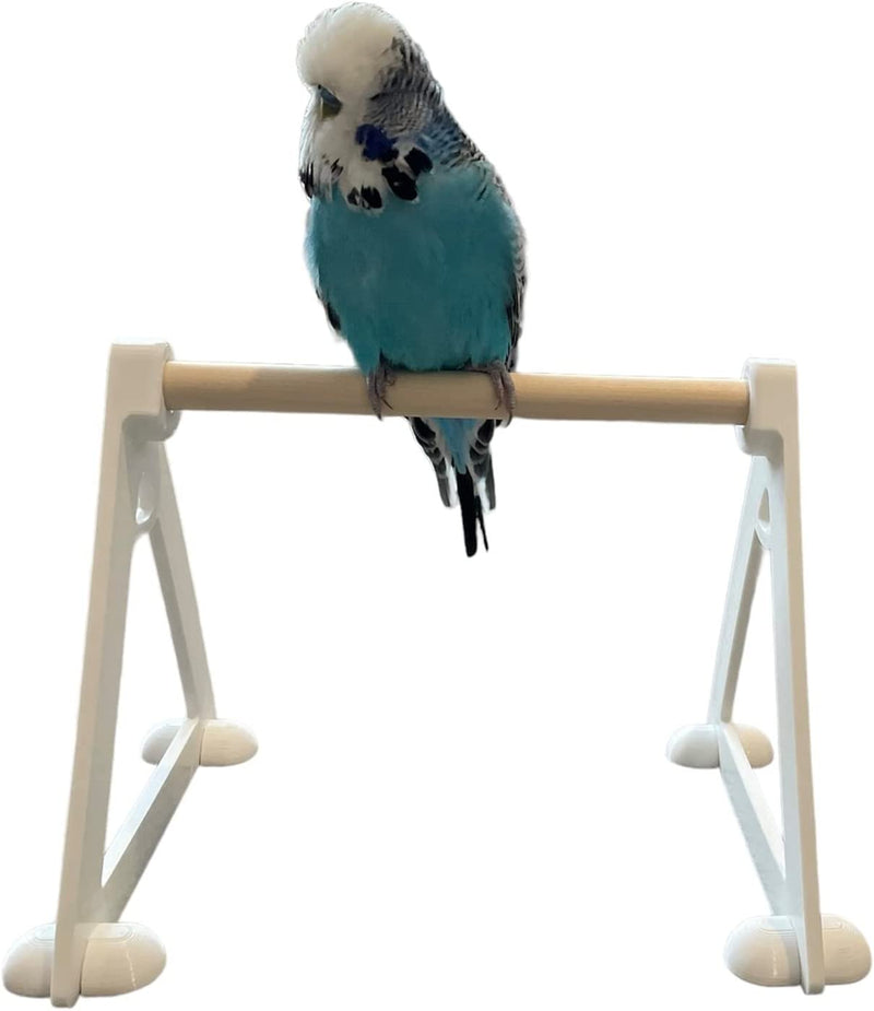 Bird Perch Floor Platform (For Small - Medium Birds) Bird Perch Stand Bird Playground - Bird Perch Stand - Bird Perches Animals & Pet Supplies > Pet Supplies > Bird Supplies EWS PRODUCTS   