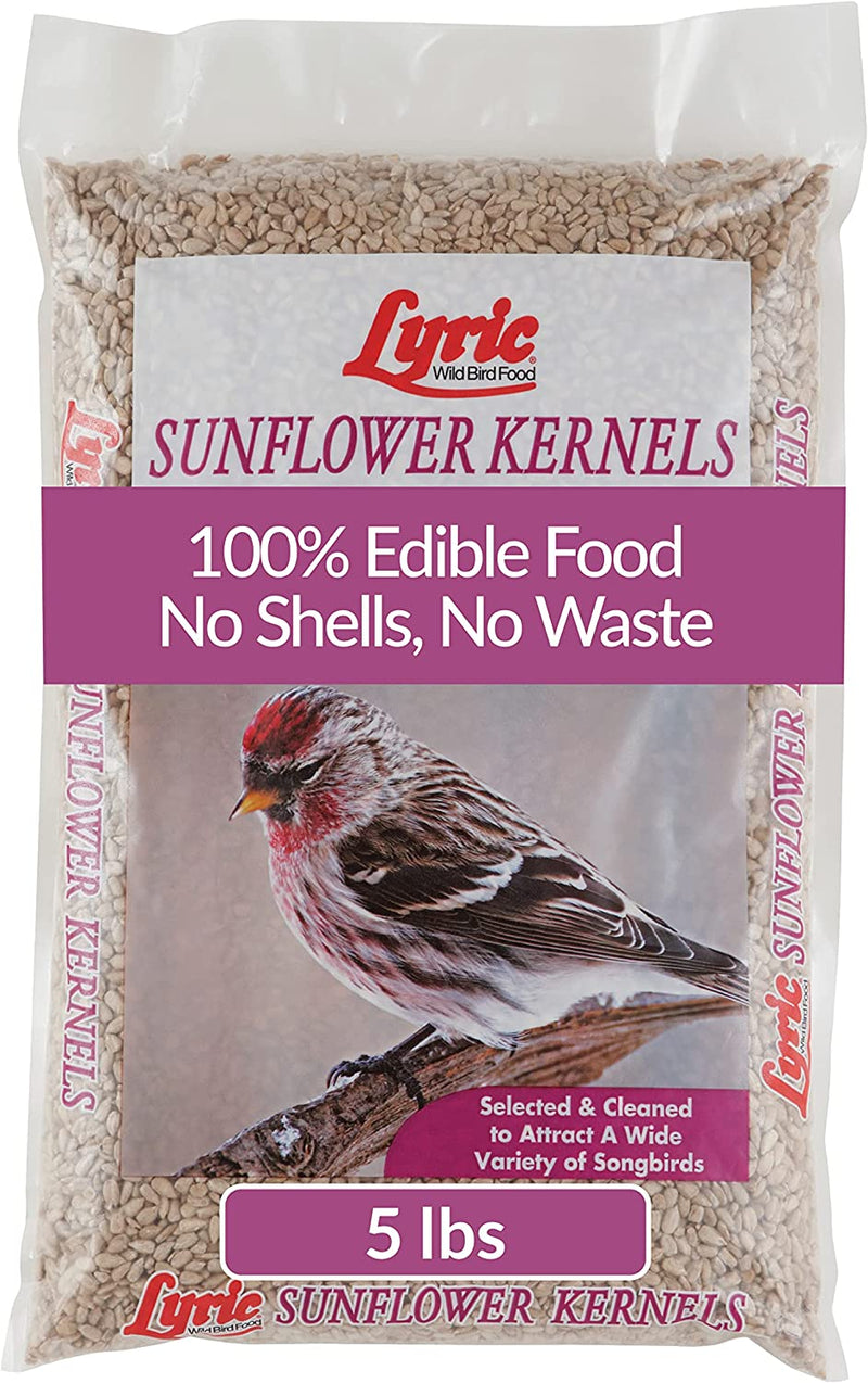 Lyric Sunflower Kernels Wild Bird Seed No Waste Bird Food Attracts Finches & More 25 Lb. Bag Animals & Pet Supplies > Pet Supplies > Bird Supplies > Bird Food Lyric Sunflower Kernels 5 lb bag 