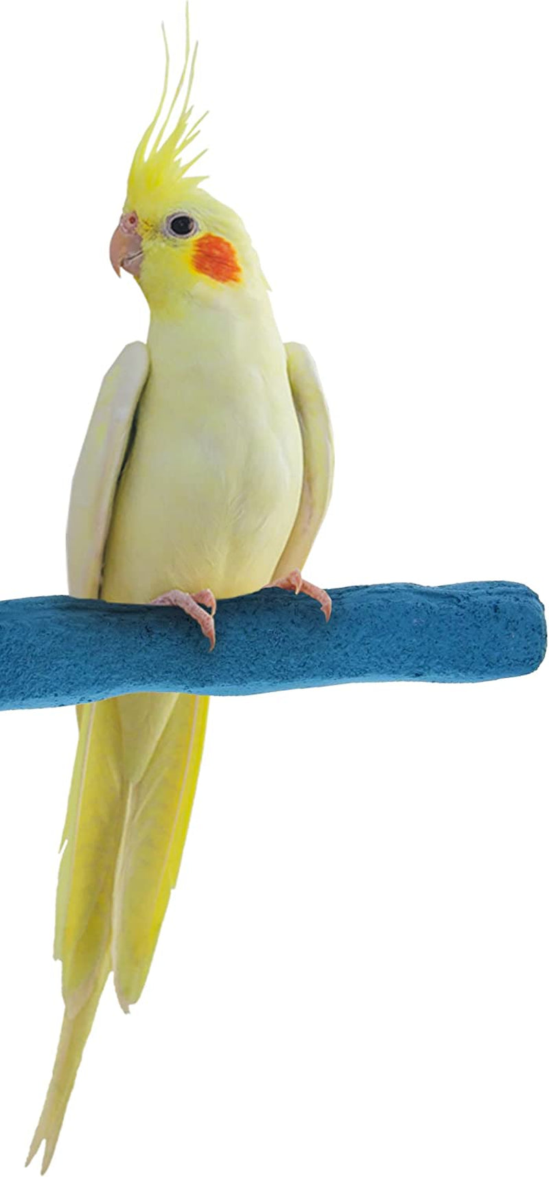 Sweet Feet and Beak Comfort Grip Safety Perch for Bird Cages - Patented Pumice Perch for Birds to Keep Nails and Beaks in Top Condition - Safe Easy to Install Bird Cage Accessories - M 8.5" Animals & Pet Supplies > Pet Supplies > Bird Supplies Sweet Feet and Beak Blue Small 6.5" 