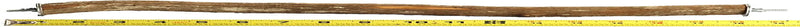 Polly'S Full Length Hardwood Bird Perch, 18-Inch Animals & Pet Supplies > Pet Supplies > Bird Supplies POLLY'S PET PRODUCTS   