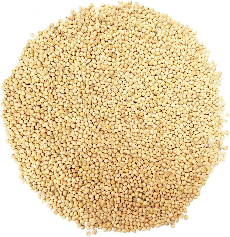 Backyard Seeds White Millet Bird Seed for Finches 8 Pounds (8 Pounds) Animals & Pet Supplies > Pet Supplies > Bird Supplies > Bird Food CountryMax 50 Pounds  