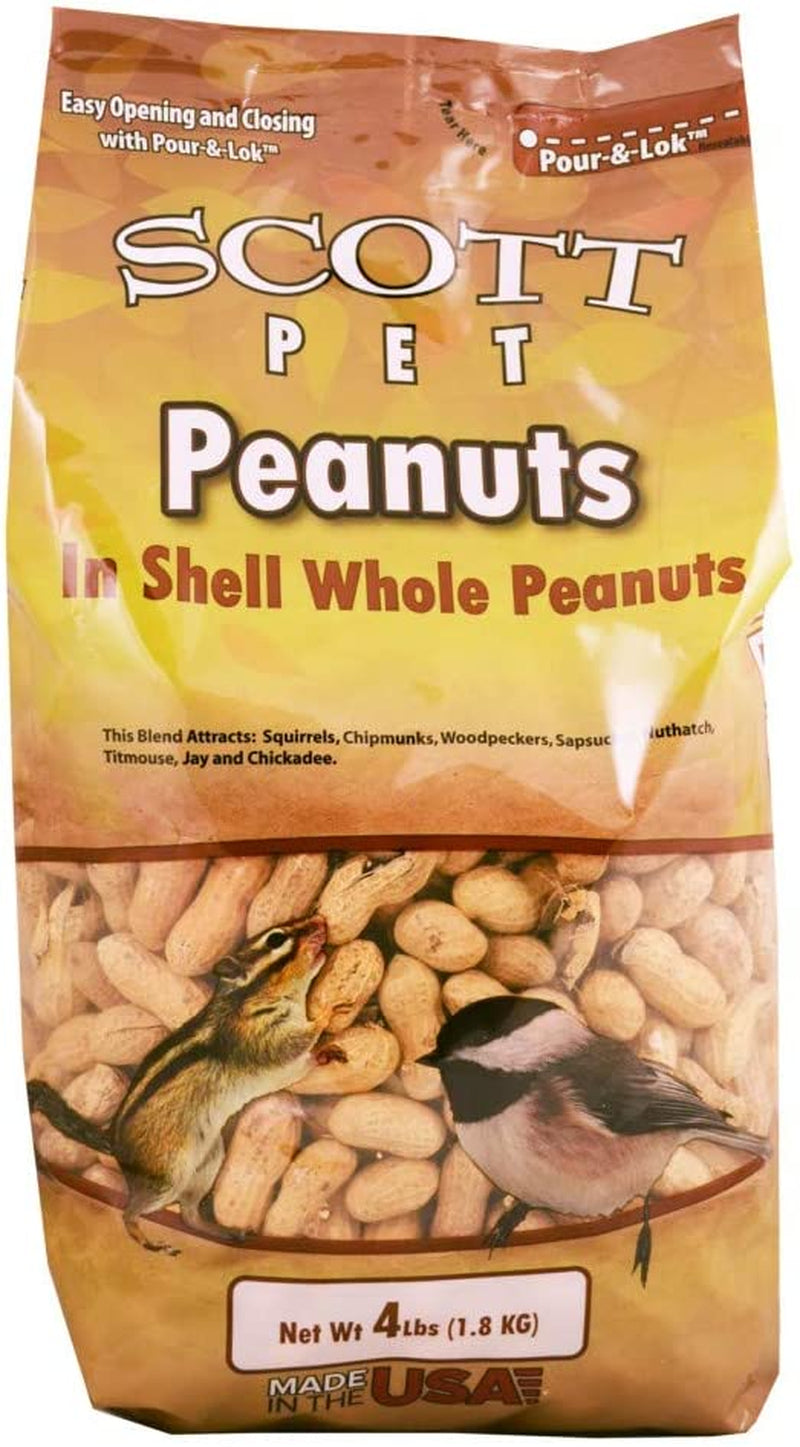 Scott Pet Peanuts Polybag 4 Lbs Animals & Pet Supplies > Pet Supplies > Bird Supplies > Bird Food Scott Pet Products, Inc.   