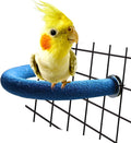 Rypet Parrot Perch Rough-Surfaced - Quartz Sands Bird Cage Perches for Medium to Large Bird, U Shape Large Animals & Pet Supplies > Pet Supplies > Bird Supplies RYPET Bird perch(Blue)  