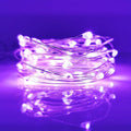 12-Pack Led Fairy String Lights Battery Starry String Lights 20 Tiny Lights on 3.5Ft Silver Wire for DIY Wedding Centerpiece, Mason Jar Craft, Christmas Tree, Garlands, Party Decoration (Warm White) Home & Garden > Lighting > Light Ropes & Strings LIIDA Purple  