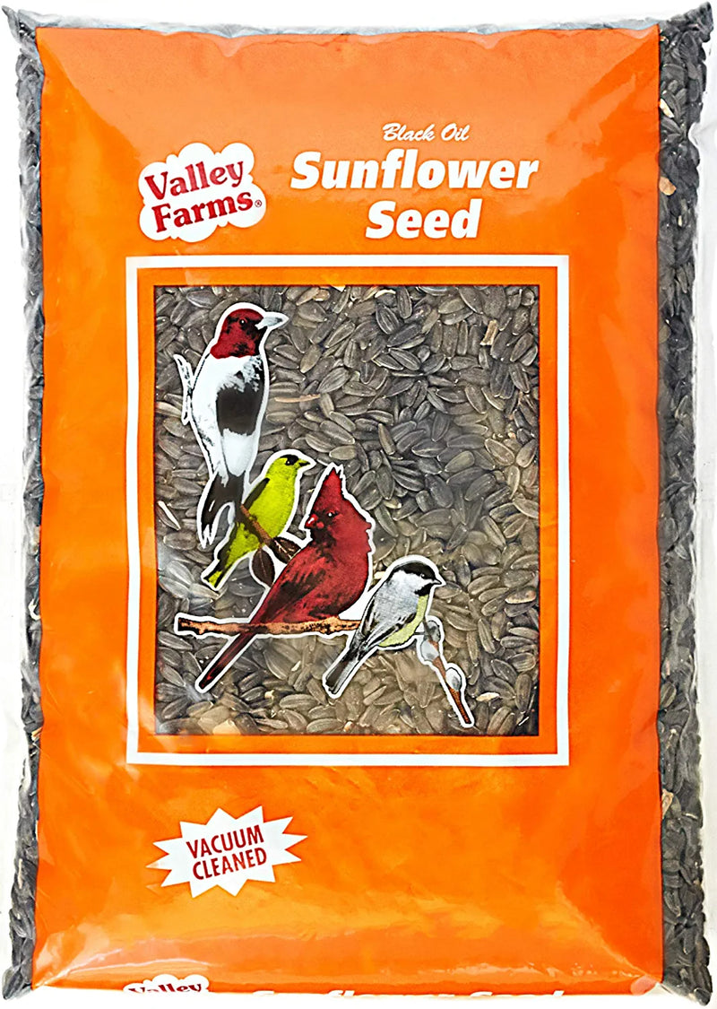 Valley Farms Black Oil Sunflower Seed - Wild Bird Food - Favorite Food of Many Songbirds (25 LBS) Animals & Pet Supplies > Pet Supplies > Bird Supplies > Bird Food Truffa Seed Co., Inc. 10 Pound (Pack of 1)  