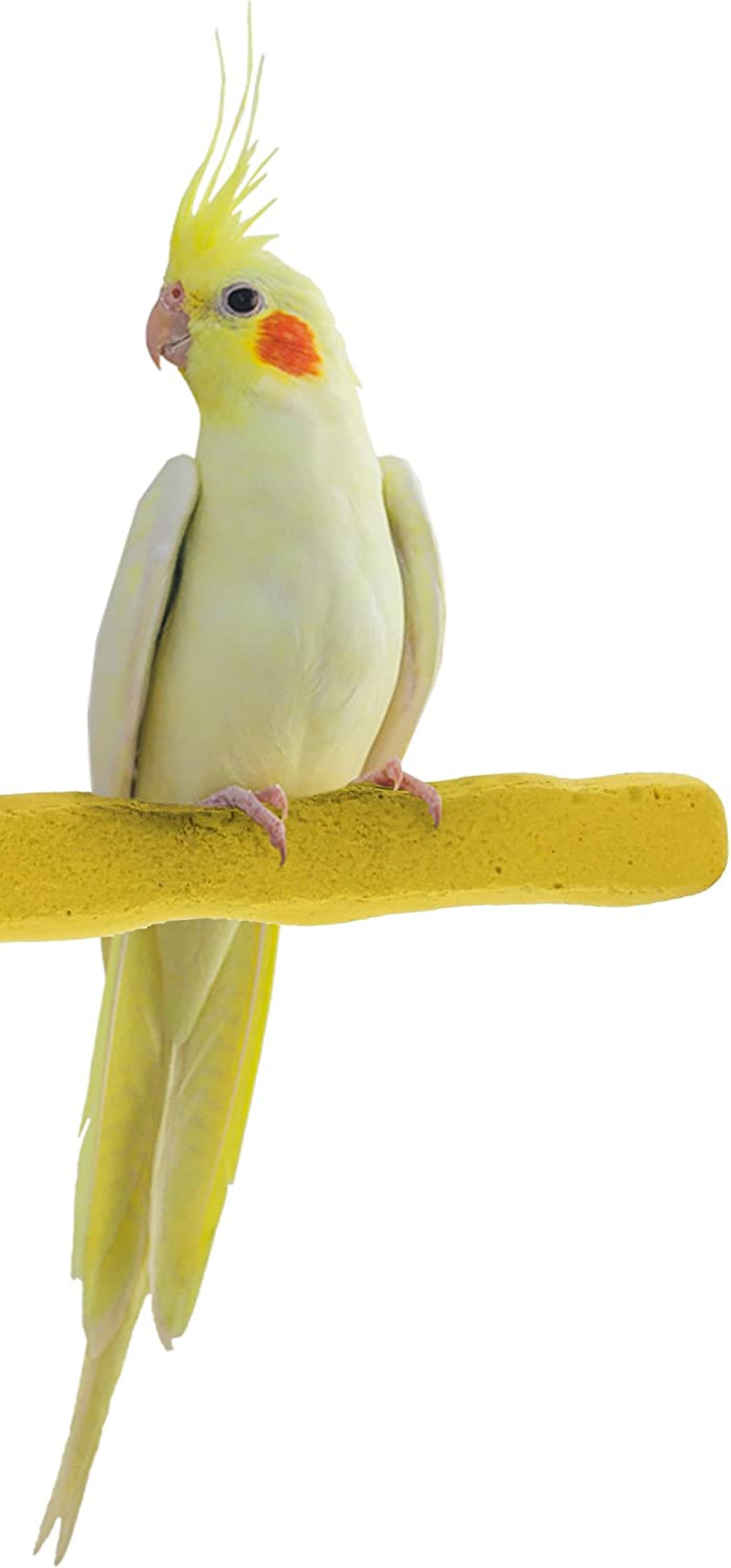 Sweet Feet and Beak Comfort Grip Safety Perch for Bird Cages - Patented Pumice Perch for Birds to Keep Nails and Beaks in Top Condition - Safe Easy to Install Bird Cage Accessories - M 8.5" Animals & Pet Supplies > Pet Supplies > Bird Supplies Sweet Feet and Beak Yellow Small 6.5" 