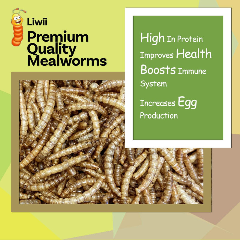 Dried Mealworms -5 LBS- 100% Natural Non GMO High Protein Mealworms - Bulk Mealworms for Wild Birds, Chicken Treats, Hamster Food, Gecko Food, Turtle Food, Lizard Food Animals & Pet Supplies > Pet Supplies > Bird Supplies > Bird Food LIWII   