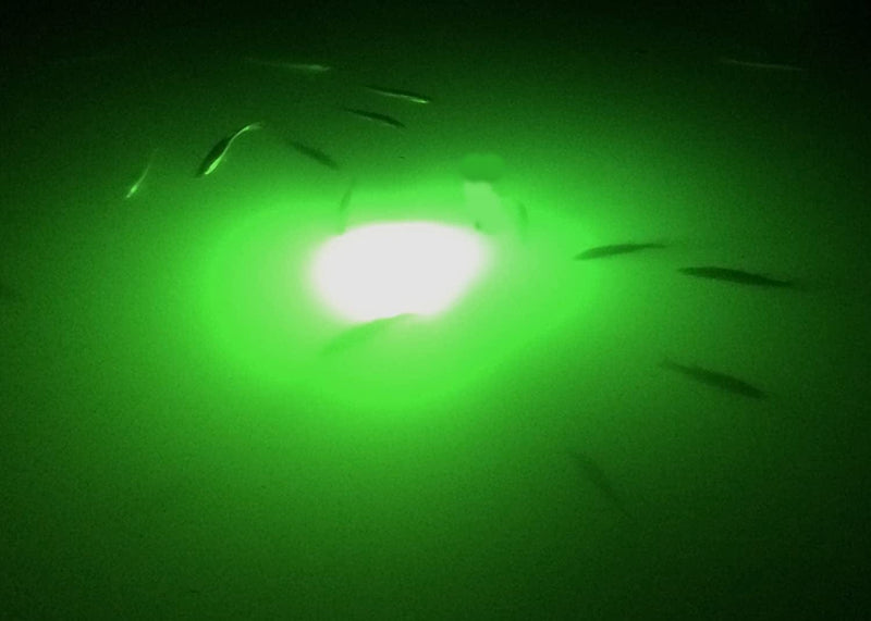 12V 20 WATTS - 2000 Lumen LED Green Underwater Waterproof Submersible Night Fishing Light Crappie Ice Squid Boat Home & Garden > Pool & Spa > Pool & Spa Accessories Fire Water Marine   