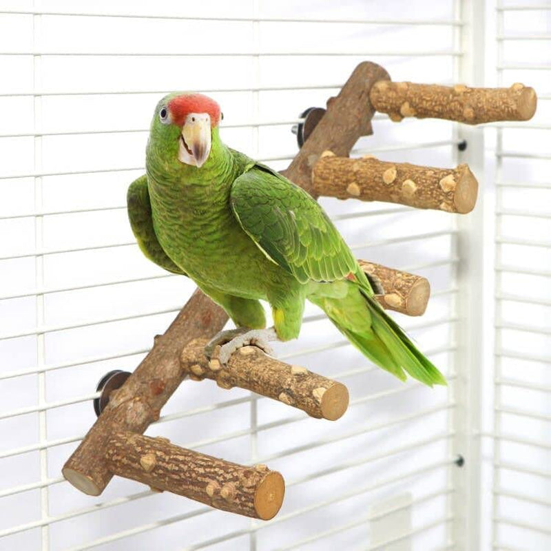 Bird Ladder Perch Cage Nature Wood Stand Parrot Chew Toy for Small Medium Parrot Animal (M) Animals & Pet Supplies > Pet Supplies > Bird Supplies Harvestkey   