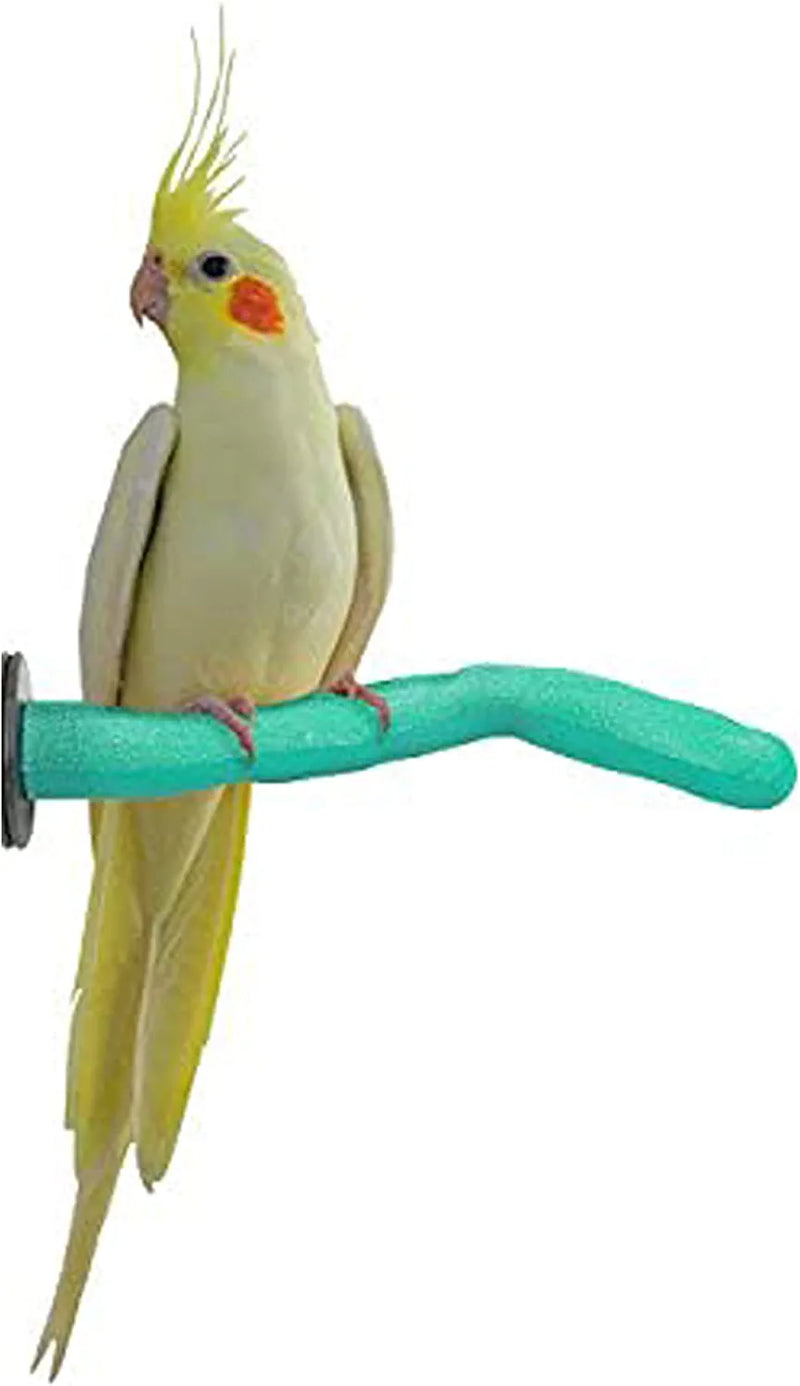 Sweet Feet and Beak Safety Pumice Perch Bird Toy - Trims Nails and Beak - Promotes Healthy Feet - Safe Non-Toxic Bird Supplies for Bird Cages - Medium 10" Animals & Pet Supplies > Pet Supplies > Bird Supplies > Bird Toys Sweet Feet and Beak Green Small 8" 