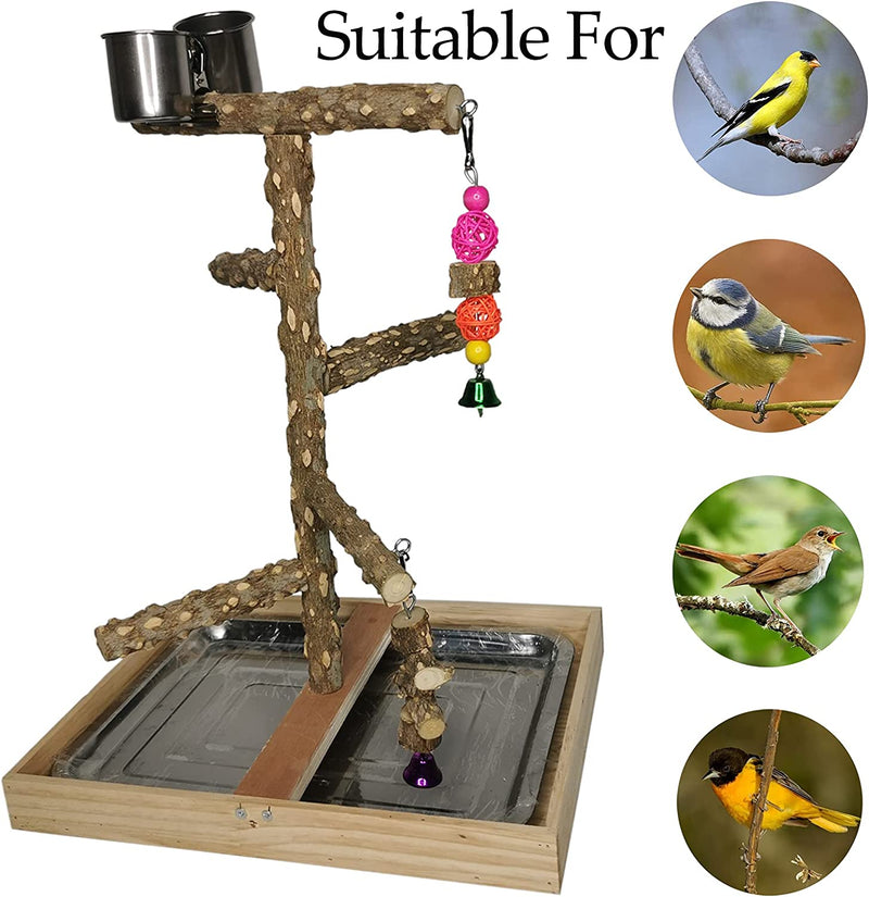 Tfwadmx Bird Perch Natural Wood Stand Toy Parrot Play Stand Platform Bird Cage Branch Perch Accessories for Parakeets Canaries Cockatiels Conure Lovebirds