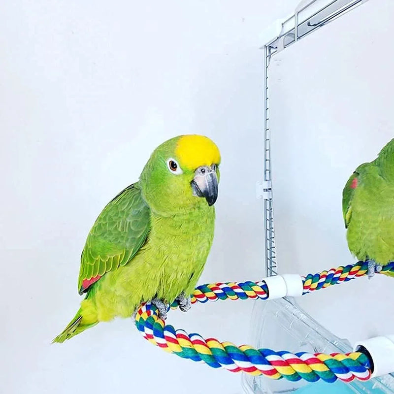 9 Inch Stainless Steel Bird Mirror with Rope Perch, Bird Swing Toys Accessories for Parrot Conure Lovebirds Finch Canaries Animals & Pet Supplies > Pet Supplies > Bird Supplies > Bird Toys hqclothingbox   