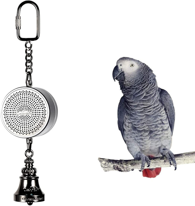 Colorday Bird Talking Coach & Interactive Bell Toy (Patent Pending),Silver Animals & Pet Supplies > Pet Supplies > Bird Supplies > Bird Toys Colorday Silver  