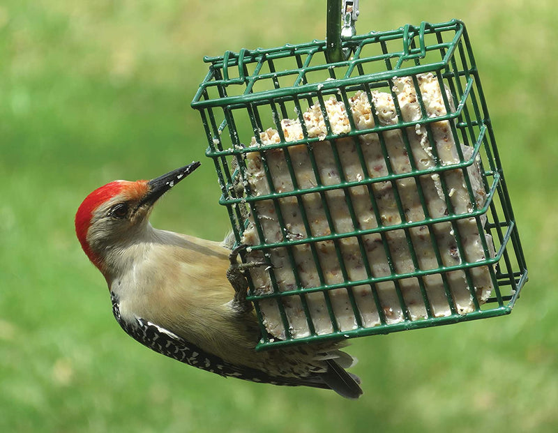 C&S Woodpecker Treat 11 Ounces, 12 Pack Animals & Pet Supplies > Pet Supplies > Bird Supplies > Bird Food Central Garden & Pet   