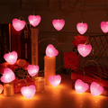 16 Feet/ 5 M 20 LED Red Heart String Lights Valentine'S Day Heart Plastic Light Set Battery Operated Fairy String Lights for Valentines, Wedding, Christmas, Birthday Party Decor Home & Garden > Decor > Seasonal & Holiday Decorations Mudder Pink  
