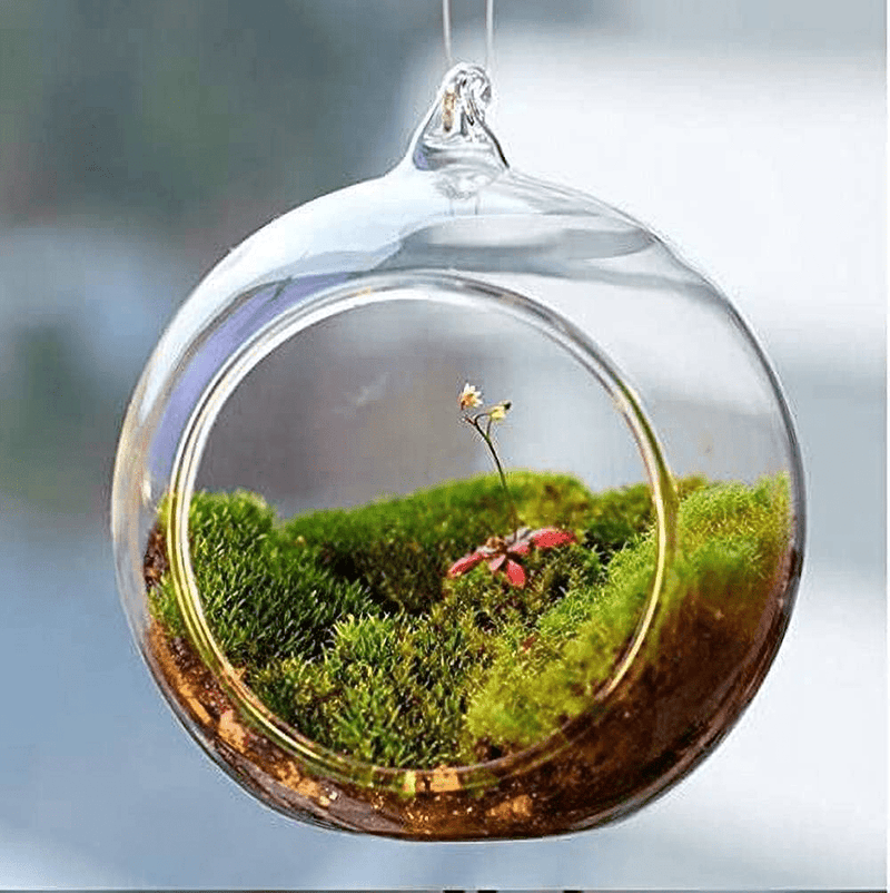 18pcs 3.15"/8cm Ball Globe Shape Clear Transparent Hanging Glass Vase Flower Plants Terrarium Vase Container DIY Wedding Home Decoration (Clear) Home & Garden > Decor > Vases LANLONG   